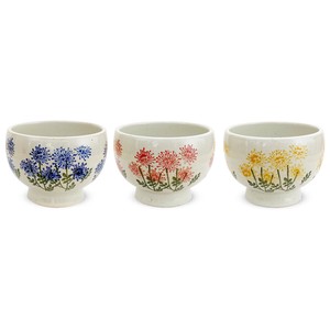 HASAMI Ware Made in Japan Soup Bowl 3 Pcs Set Free 3 50 Wildflowers Blue Red Yellow