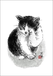 ポストカード  中浜稔「洗顔中」 猫 ネコ 墨絵作家 アート グッズ ほっこりシリーズ かわいい