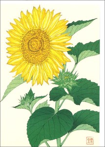 Greeting Card Sunflower Message Card