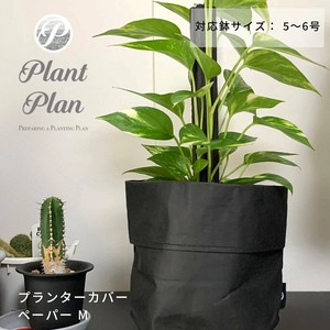 Pot/Planter Size M