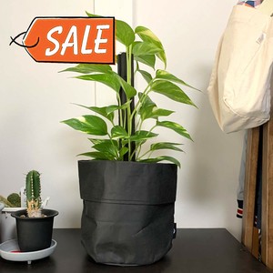 Pot/Planter Size M