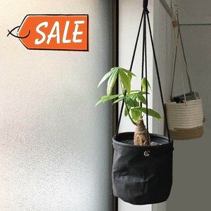 Pot/Planter
