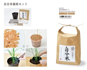 自分米 栽培セット（1月末〜6月限定）