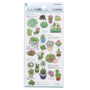 Succulents Sticker adult picture book