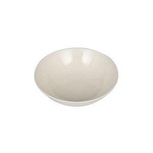 Donburi Bowl dulton White Ivory bowl Made in Japan