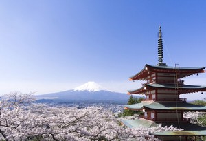 ポストカード カラー写真 日本風景シリーズ「五重の塔と富士山」観光地 名所 メッセージカード