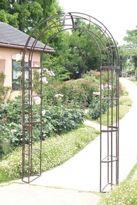 Garden Fence/Arch Garden