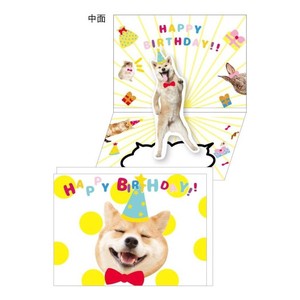 Greeting Card Dog