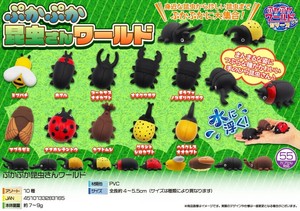Insect