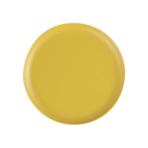 Main Plate dulton Yellow