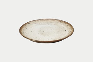 Shigaraki ware Main Plate Beige Natural Made in Japan