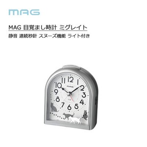 Clock/Watch Gray 747 Precision Continuous