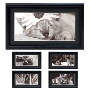 ロングポストカード入り額縁 モノクロ写真「猫」 壁掛け マット付き フォトフレーム 動物