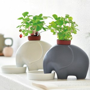 eleplant エレプラント アップルミント ワイルドストロベリー ゾウ 栽培セット GD-955