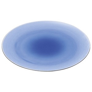 Mino ware Main Plate Western Tableware 28cm