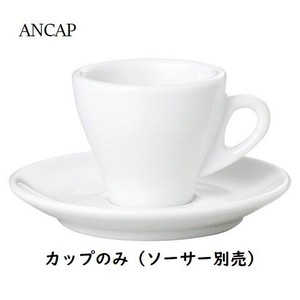 Cup Saucer