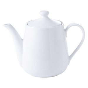 Mino ware Teapot L size M Western Tableware