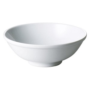 Mino ware Donburi Bowl 25cm