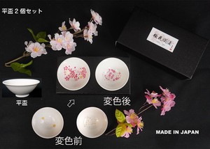 Cup 2 Pattern Set Sakura Sakura Mino Ware Japanese Sake Cup Cup Made in Japan Pottery