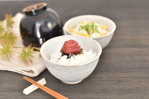 新カイラギ新飯碗大 和食器 飯碗 日本製 美濃焼 茶碗 おしゃれ モダン
