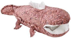Tissue Case Giant salamander
