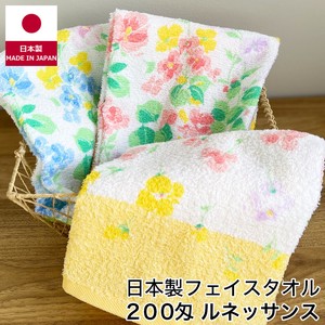 Hand Towel Pudding Senshu Towel Face Towel Thin Made in Japan