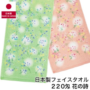 Hand Towel Pudding Senshu Towel Face Thin Made in Japan