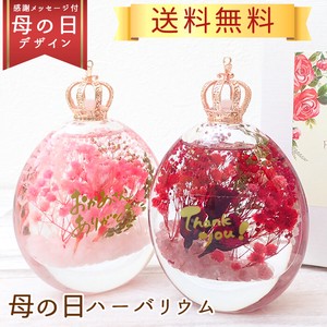 Object/Ornament Herbarium Gift Presents 1-pcs Made in Japan
