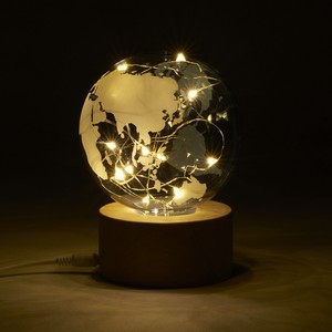 Globe LED Lights