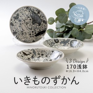 【いきものずかん】170浅鉢［日本製 美濃焼 陶器 食器］