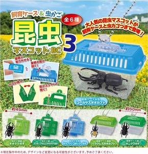 Case Basket Insect Mascot 3
