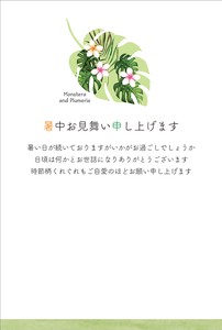 Postcard Summer Leaf Plumeria
