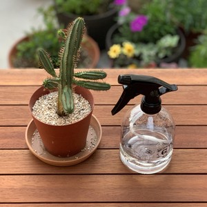 Watering Item Garden black 500ml