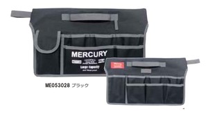 Accessory Case Mercury