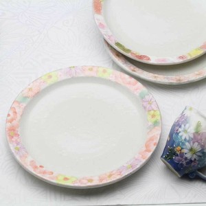Divided Plate