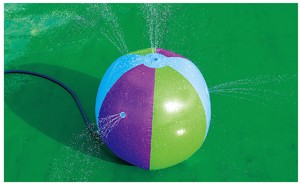 Pool Float/Beach Ball