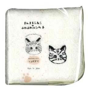 Fluffy Handkerchief Kitten