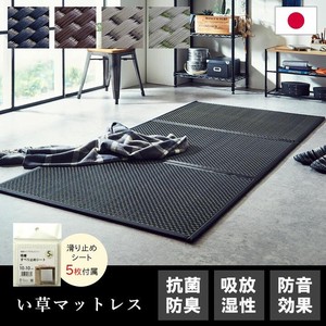 Mattress Made in Japan Prevention Light-Weight Rainy Season Life Floor Mat Flare Mattress