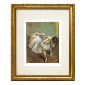Picture Frame Ballet Shoes