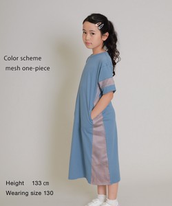 Color Scheme Mesh One-piece Dress