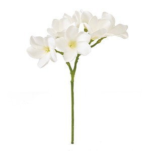 Frangipani White Green Artificial Flower Flower Artificial Plants
