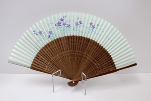 Japanese Fan Chinese Bellflower