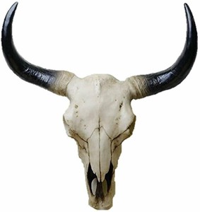メイリッチ製 西部の牛の頭蓋骨の壁掛け彫像 カウスカル彫刻 カウボーイ インディアン（輸入品）