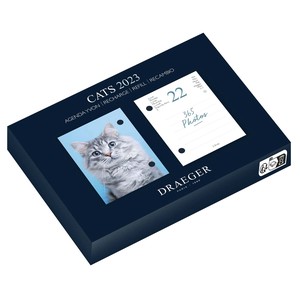 2 3 3 65 Calendar Refill Cat Table-top Cat Animal