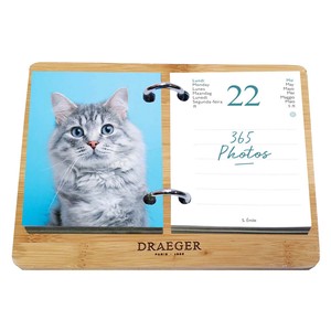 【予約販売】ドレジャー 2023年 365日日めくりカレンダー（BOXセット） CATS（卓上） 猫 動物
