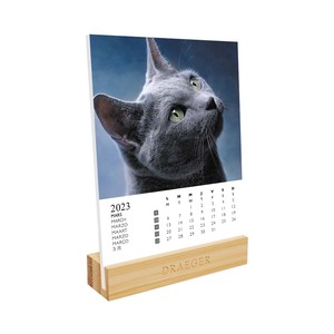 2 3 Desk Calendar Cat Table-top Cat Animal