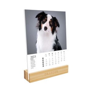 2 3 Desk Calendar Table-top Animal