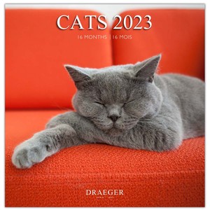 【予約販売】ドレジャー 2023年 ラージカレンダー CATS（壁掛け） 猫 動物