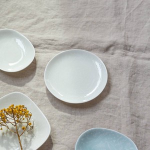Mino ware Small Plate Float Plants Miyama Western Tableware 13cm Made in Japan