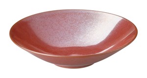Mino ware Main Plate 21cm Made in Japan